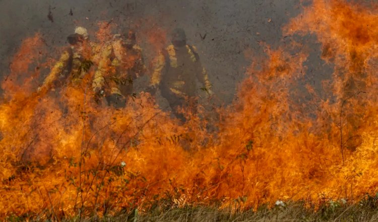 Incêndio no Pantanal já devastou área igual a duas cidades de SP em 2024