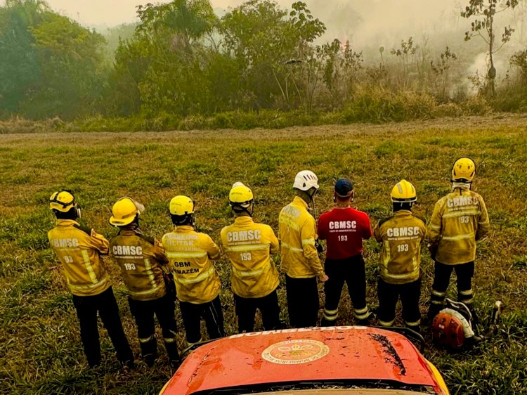 Queimadas no Pantanal: bombeiros de Santa Catarina intensificam combate às chamas no Mato Grosso do Sul