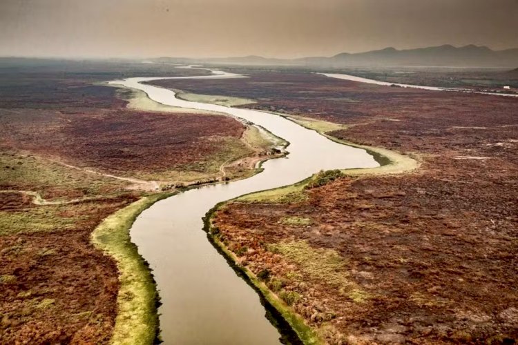 Pantanal: focos de incêndios nos primeiros 10 dias de setembro já são o dobro de todo o mês em 2023