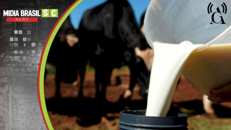 CRISE NO CAMPO: ALESC LOTADA EXPÕE “LUTO DO LEITE” EM SANTA CATARINA