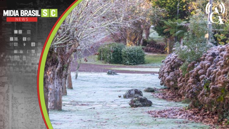 SERRA GAÚCHA REGISTRA GEADA E TEMPERATURAS PRÓXIMAS DE 0°C NA 1ª SEGUNDA DE 2026