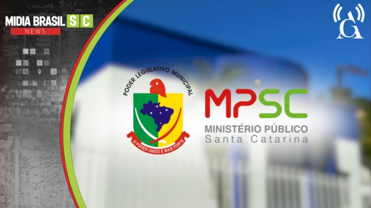 MPSC integra operação nacional contra desmatamento da Mata Atlântica