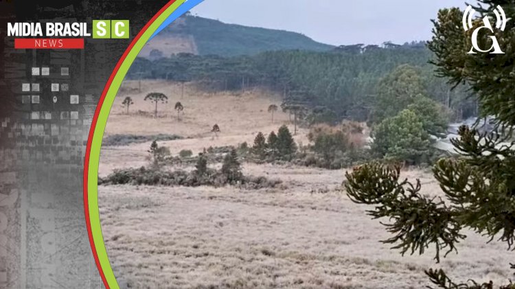 Santa Catarina registra -7,3°C, menor temperatura do Brasil em 2026